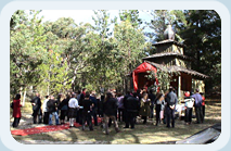 arts eco retreat